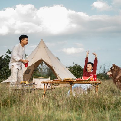 chuyến đi road trip cùng thú cưng