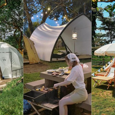 địa điểm picnic 2024