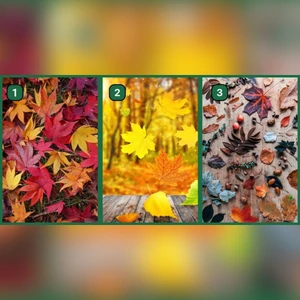 trắc nghiệm chọn lá mùa thu