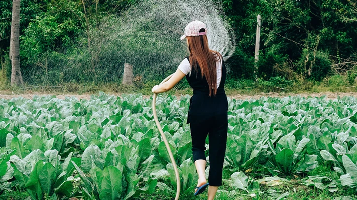 bán nông và hành trình tìm lại chính mình
