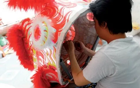 che-tac-lan-su-rong-vinh-quang-tham-lang-5