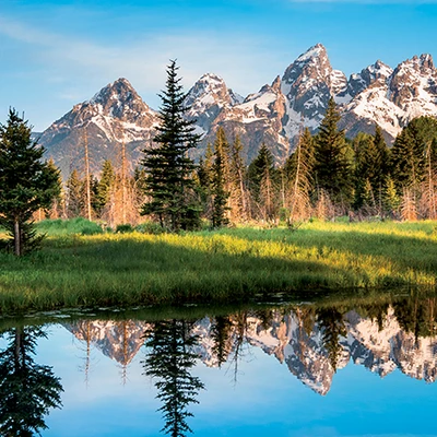Ghé thăm rừng quốc gia đầu tiên trên thế giới - Yellowstone