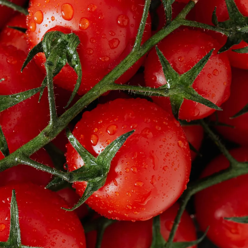 Những quả cà chua căng mọng giàu beta-carotene giúp mắt sáng khỏe.