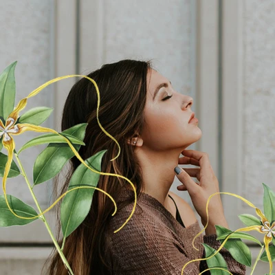 dầu dưỡng hoa ylang ylang ft540
