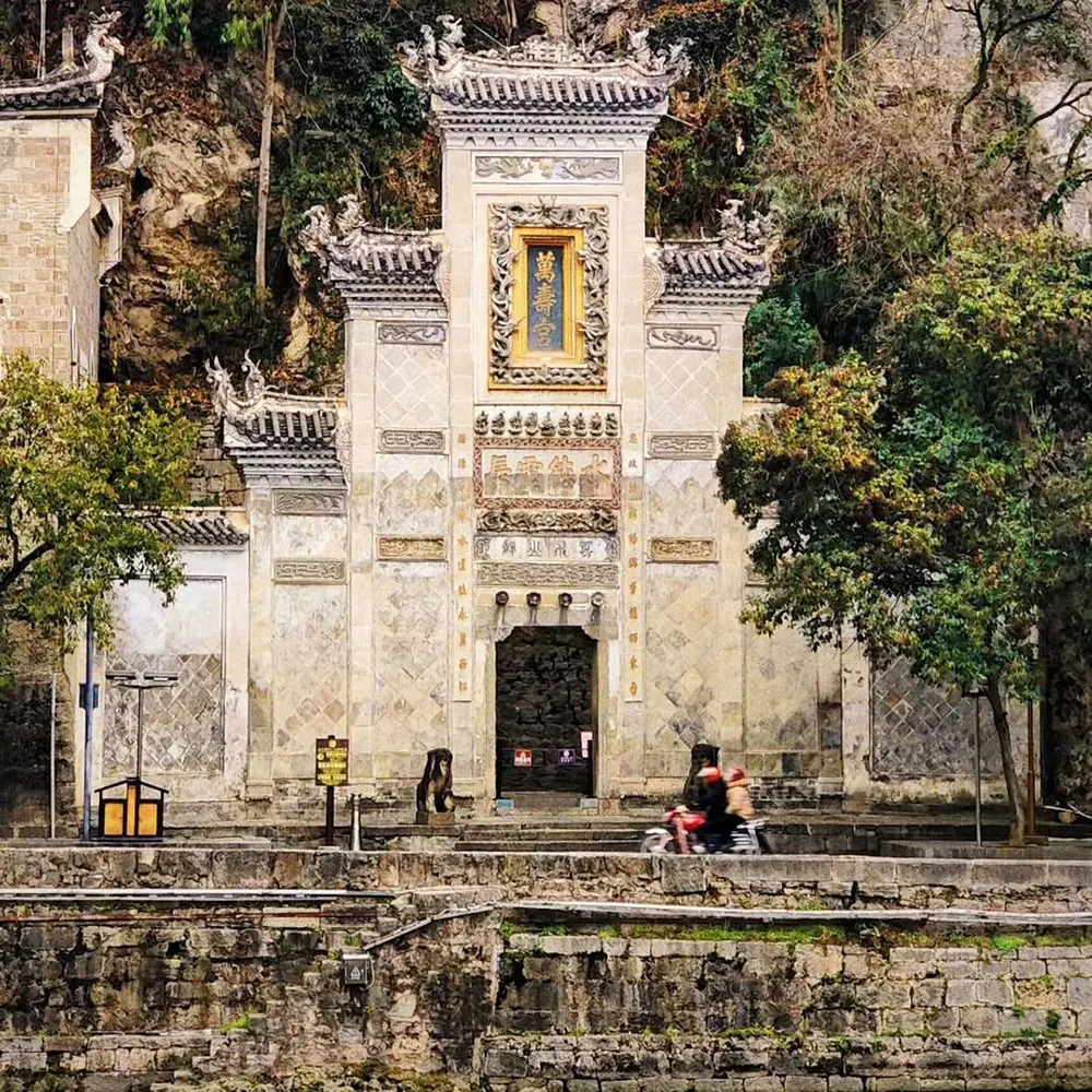 động thanh long