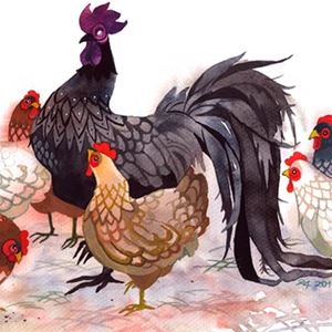 12 con giáp nên làm gì để phòng tránh tiểu nhân