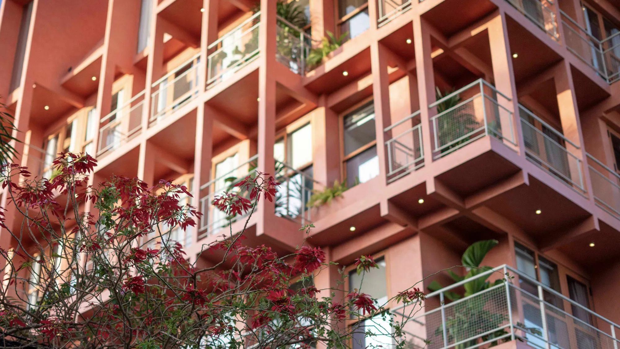 địa điểm khách sạn the pink