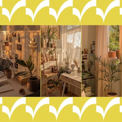 Cây cảnh nâng tầm thẩm mỹ không gian sống