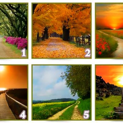 trắc nghiệm ý nghĩa con đường
