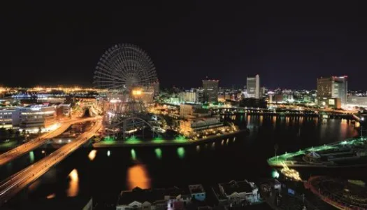 du-lich-nhat-ban-rong-choi-mua-la-do-13