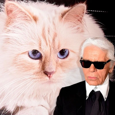 mèo choupette và karl lagerfeld