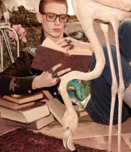Gucci - Bộ sưu tập khu vườn thần tiên