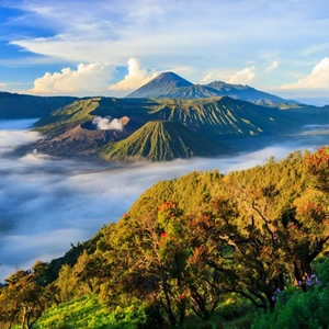 hòn đảo thiên đường