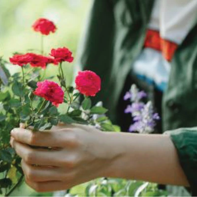 hướng dẫn trồng hoa cho người mới bắt đầu