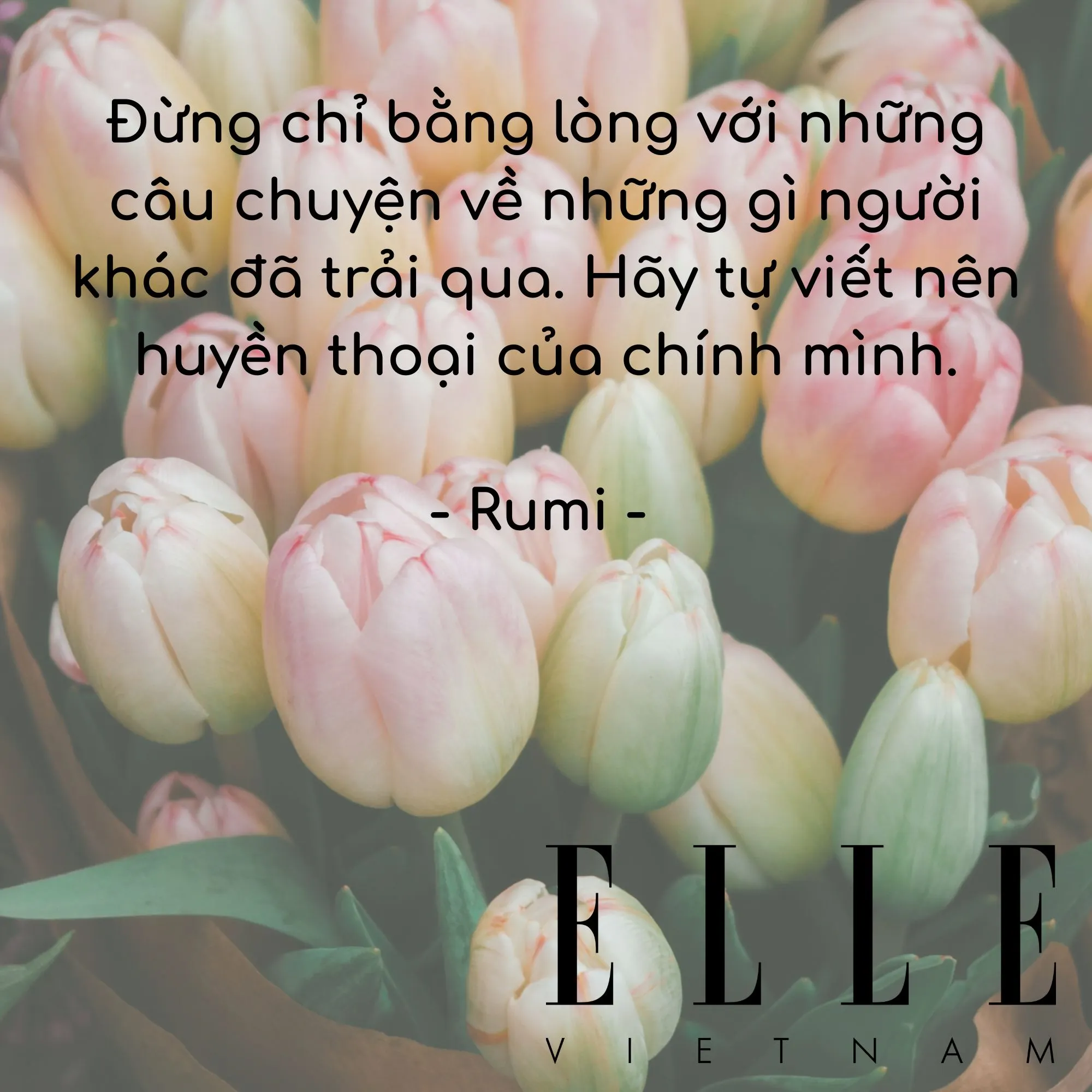câu nói hay giúp bạn tin vào bản thân