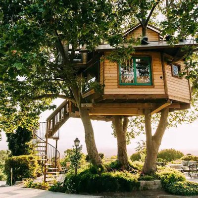 nhà trên cây vòng quanh thế giới