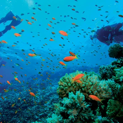 Du lịch Philippines - Bảy ngày thiên đường ở El Nido - ELLE Việt Nam