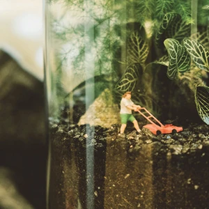 tài khoản instagram