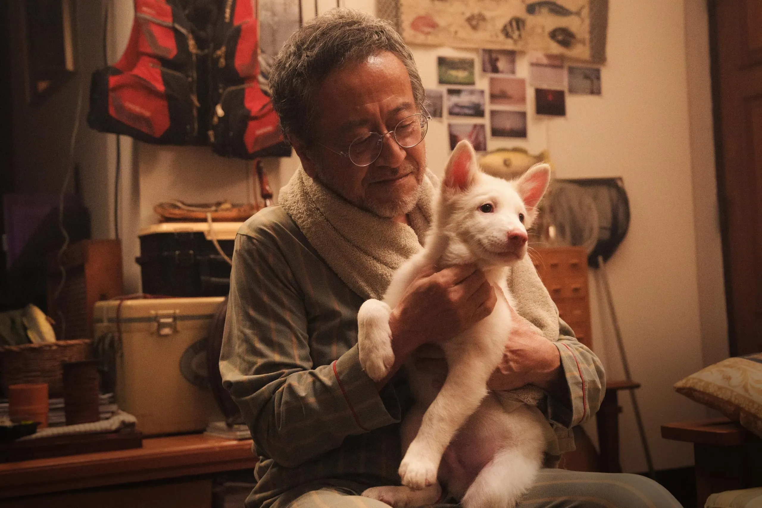 Phim điện ảnh Tạm Biệt Gohan là câu chuyện về mối liên kết đặc biệt giữa con người và động vật.