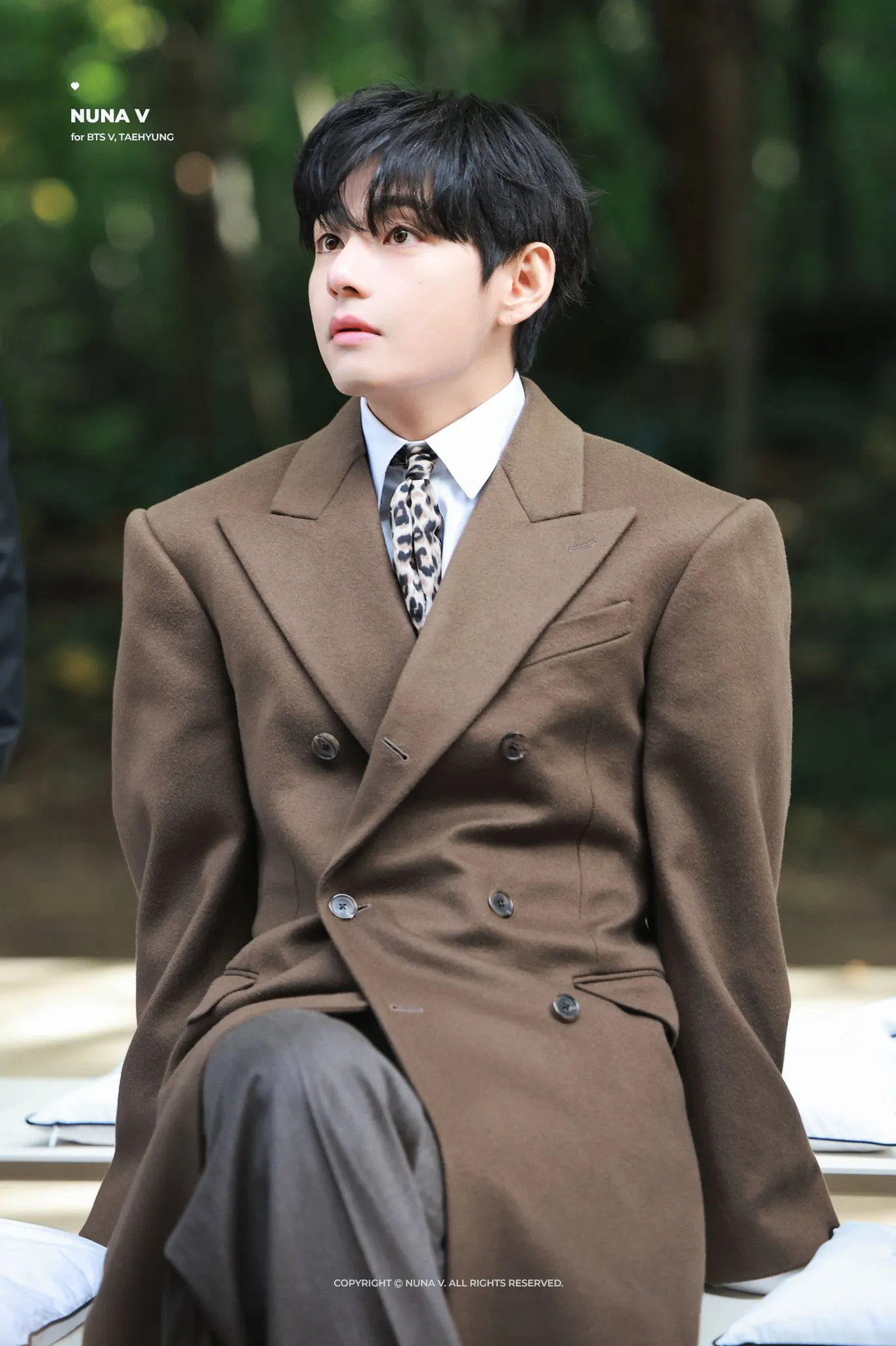 V BTS