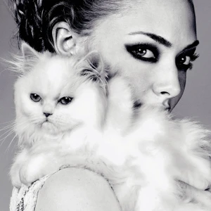 Amanda Seyfried – Cô bé quàng khăng đỏ xứ sở thần tiên