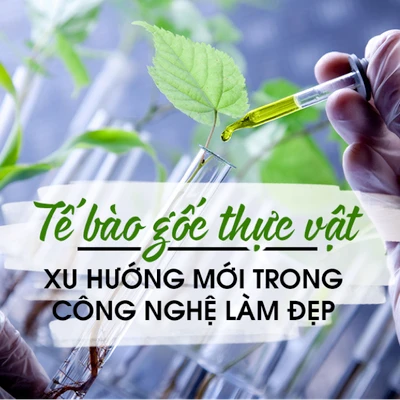 Dưỡng dài mi bằng huyết thanh, xu hướng làm đẹp mới trên toàn cầu